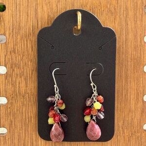 Multi-Color Dangle Earrings